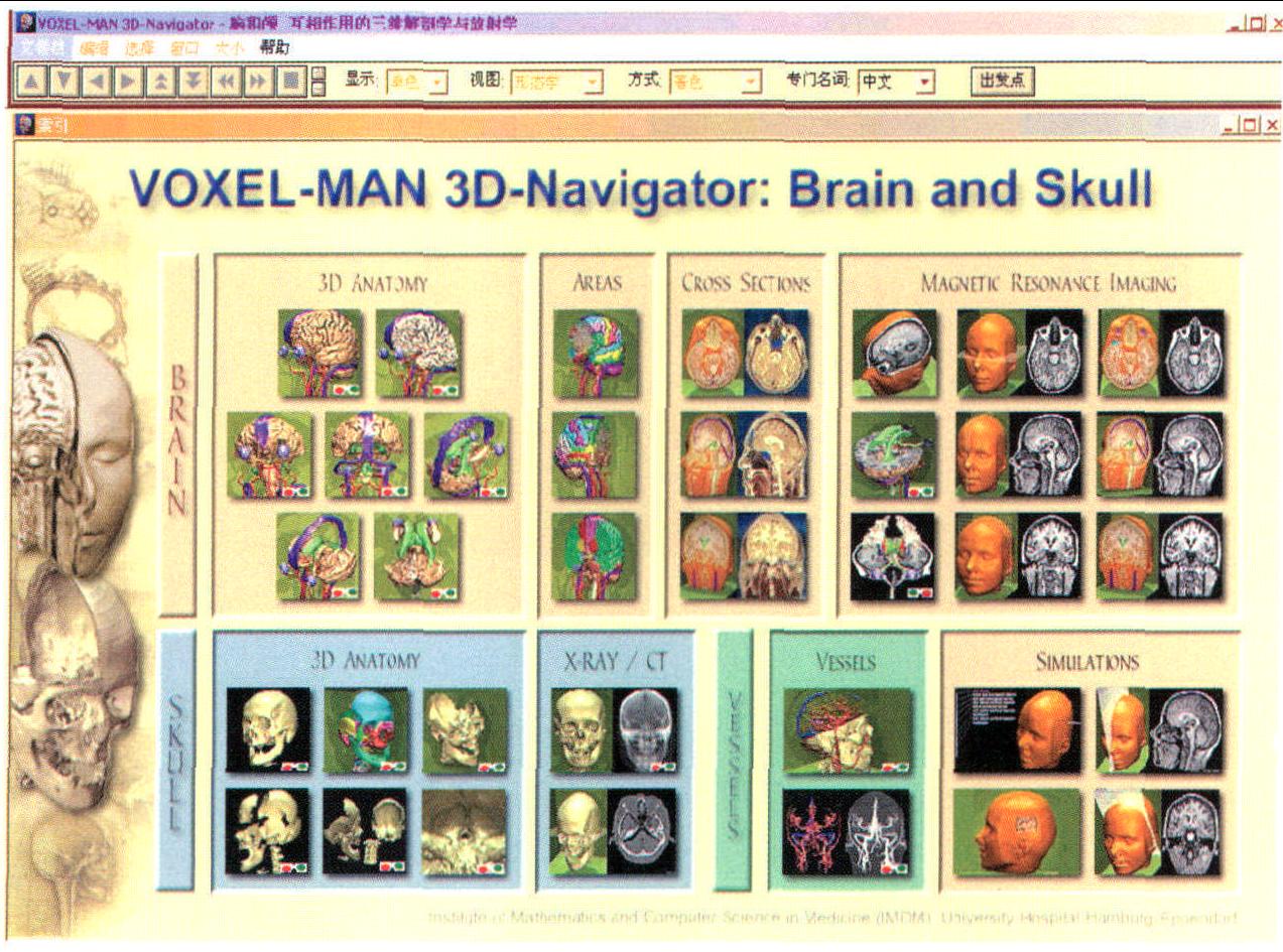 一、Voxel-Man腦部和顱骨3D解剖航行器